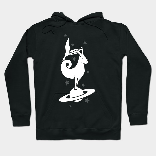 Capricorn Astrological Zodiac Sign Hoodie by TMBTM